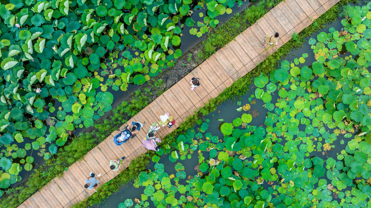 https://image.jiaxingren.com/assets/20240711/1720664502562_668f41b6765070043ccad4fe.jpeg