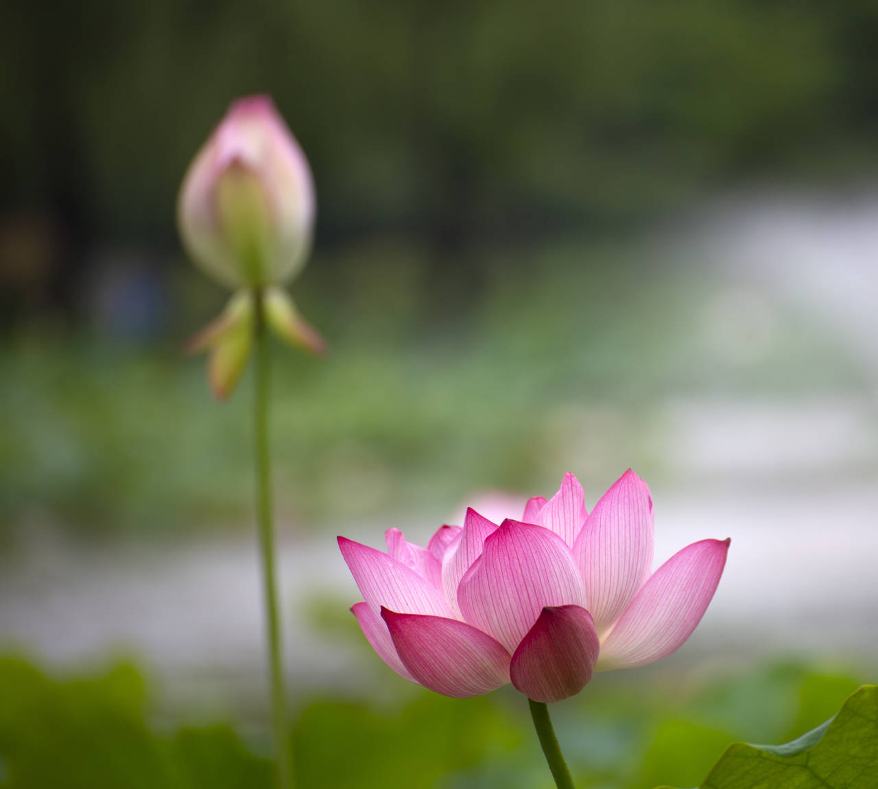 https://image.jiaxingren.com/assets/20240711/1720664506030_668f41ba765070043ccad50e.jpeg