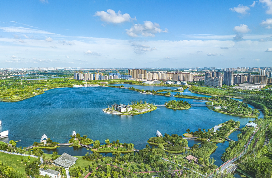 银杏天鹅湖俯瞰图。秀洲区委宣传部供图