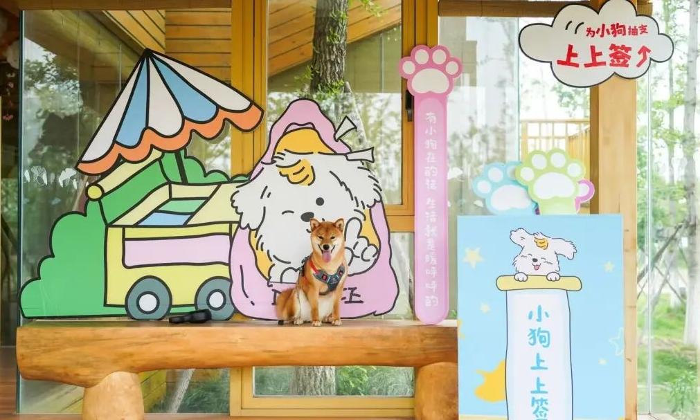 秀洲这里，开了一家小狗专属食堂！