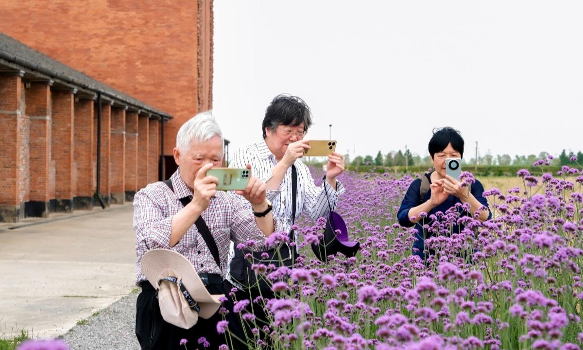 银龄旅行 边拍边学